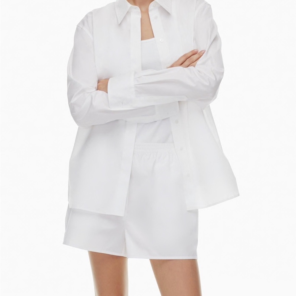 Aritzia Babaton Deakons poplin shirt